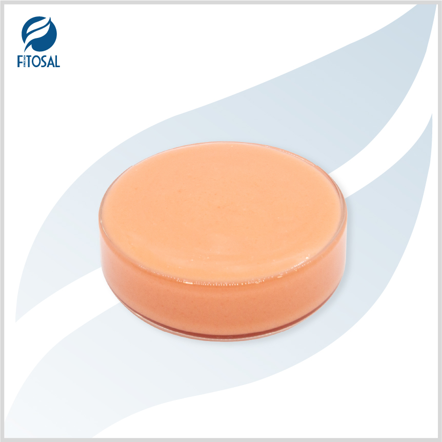 Phân bón NPK dạng gel – FIGEL NPK 18-11-59 + 1.2Mg nhập khẩu từ Châu Âu