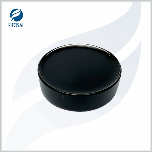 FIO CA - Ảnh 3