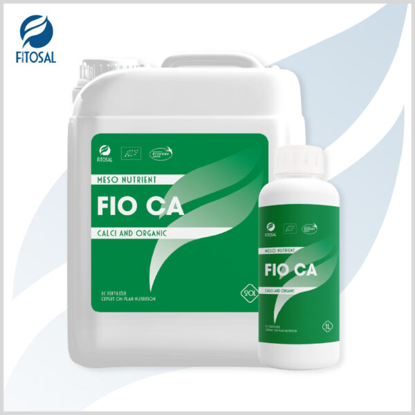 FIO CA - Ảnh 2