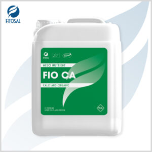 FIO CA