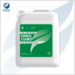 FIMIC CABO